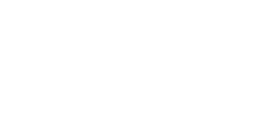 vnpt