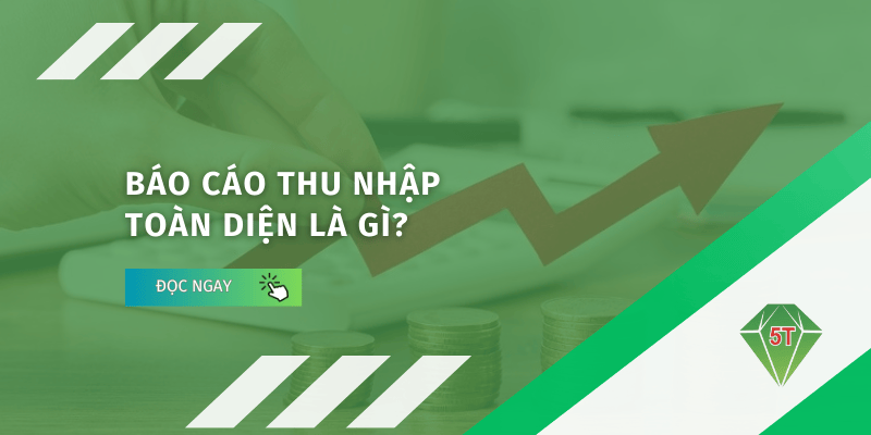 bao cao thu nhap toan dien la gi 5