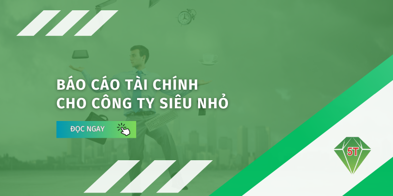 bao cao tai chinh cho doanh nghiep sieu nho 4