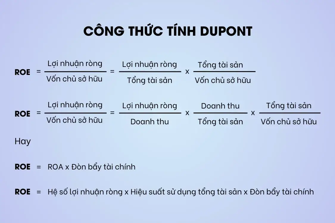 Sử dụng phương pháp chuyên sâu để phân tích báo cáo