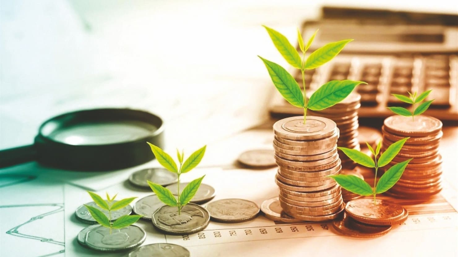 Vốn của hộ kinh doanh là gì?