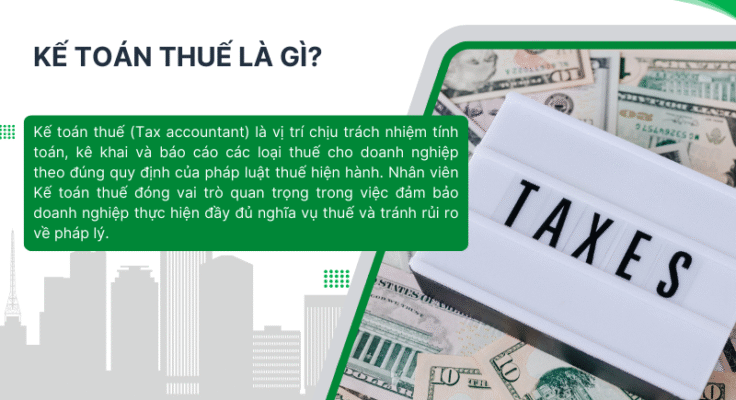 Kế toán thuế cần học những gì để làm việc hiệu quả