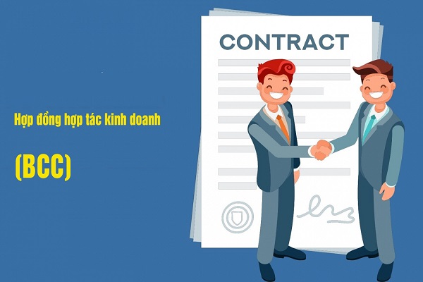 Hinh dai dien hop dong bcc la gi