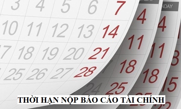 han-nop-bao-cao-tai-chinh-0