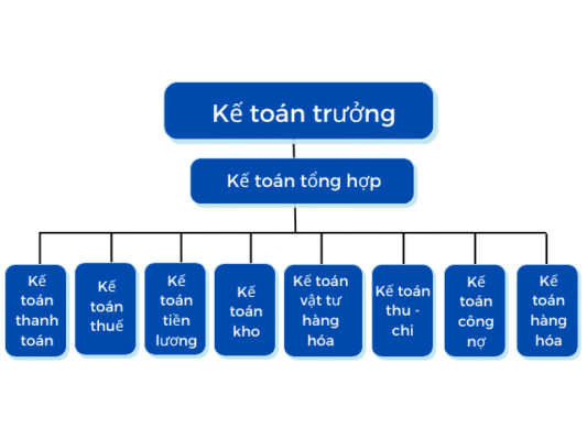 Tổ chức bộ máy kế toán