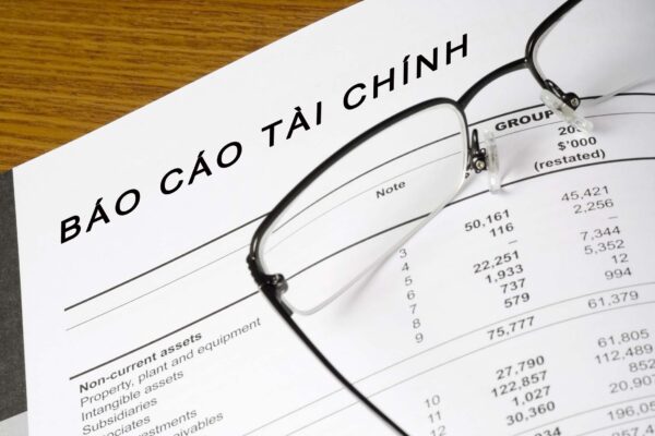 Báo cáo tài chính của công ty TNHH những điều cần biết 2 báo cáo tài chính của công ty TNHH